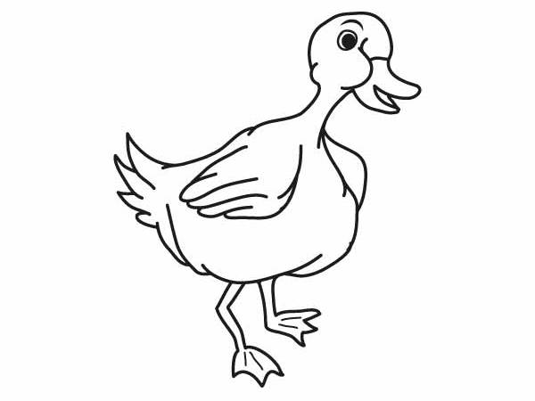 Gęś kolorowanki